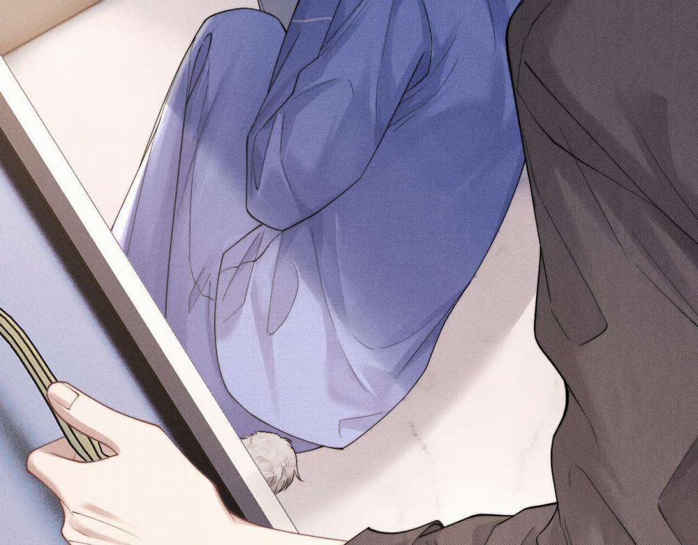 Chấp Sự Thỏ Tai Cụp 92 trang 7