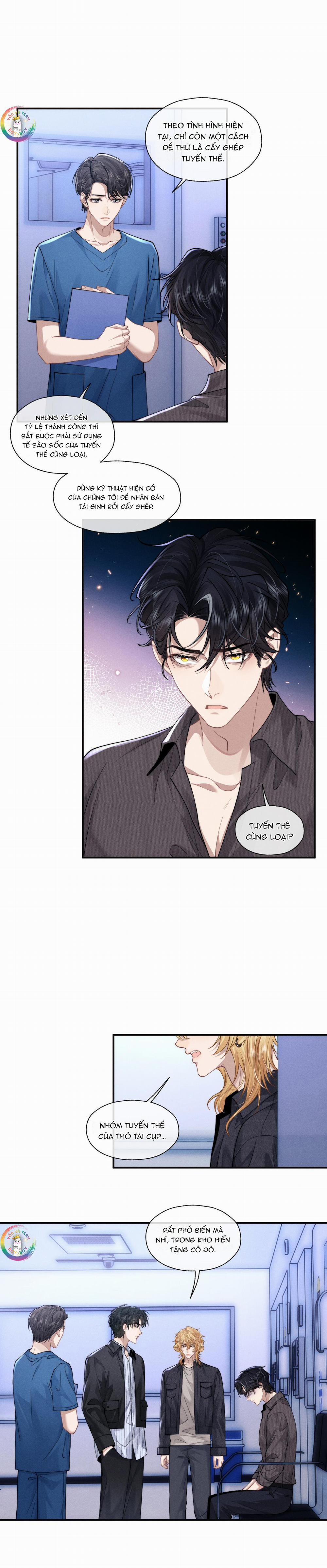 Chấp Sự Thỏ Tai Cụp 97 trang 5