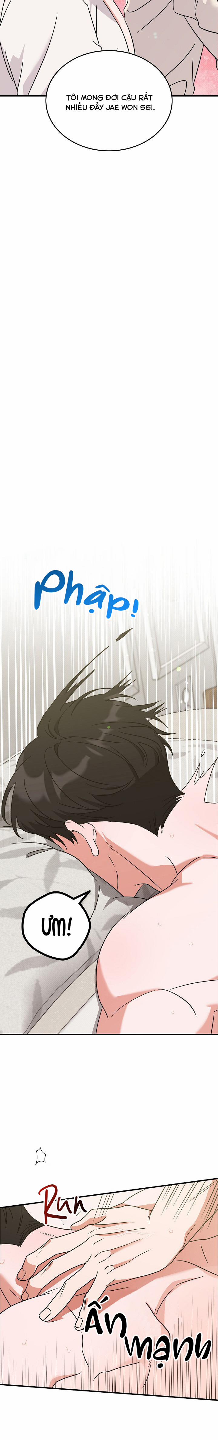 Chắp Vá 3 trang 12