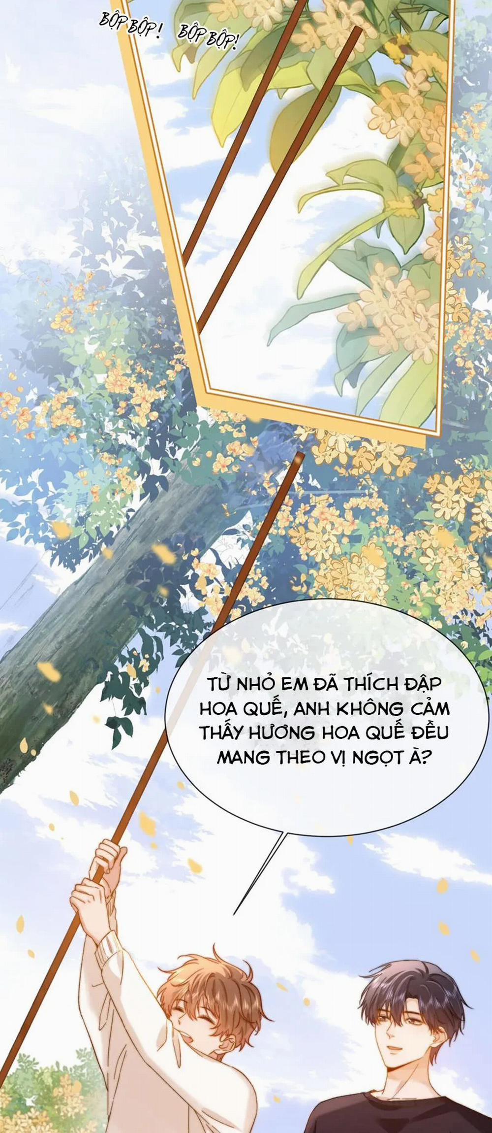 Chất Dị Ứng Đáng Yêu 33 trang 5