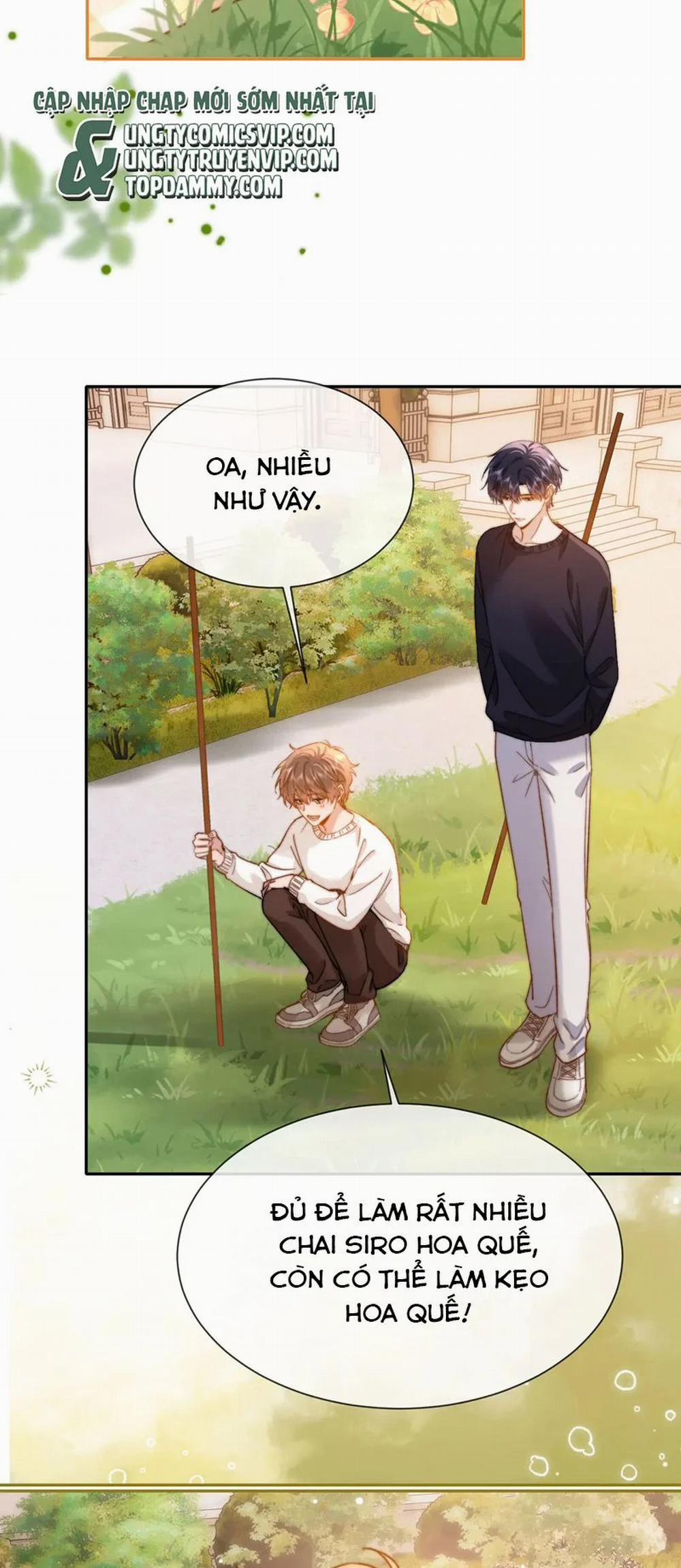 Chất Dị Ứng Đáng Yêu 33 trang 7