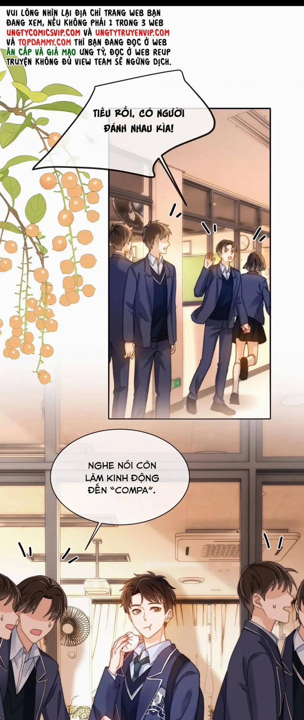 Chất Dị Ứng Đáng Yêu 35 trang 14