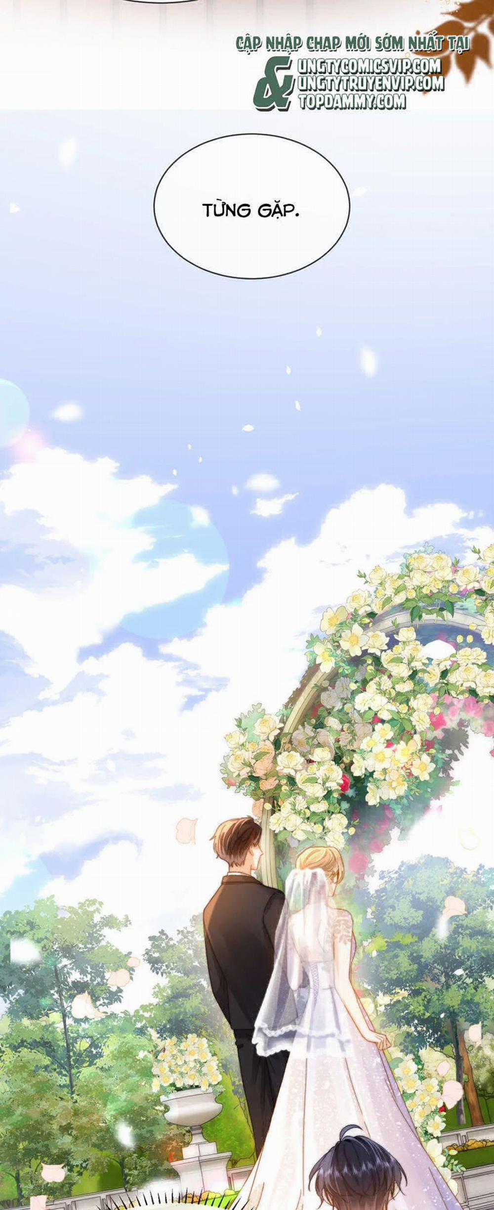 Chất Dị Ứng Đáng Yêu 40 trang 3