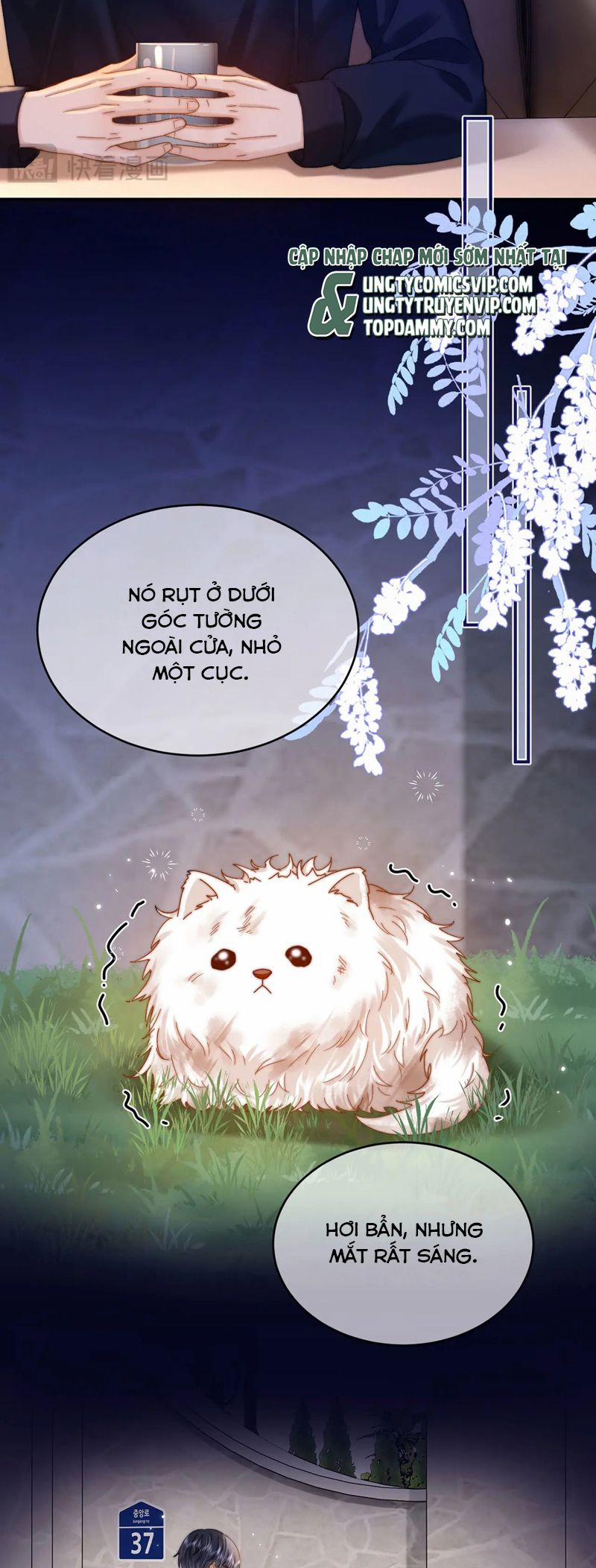 Chất Dị Ứng Đáng Yêu 52 trang 2