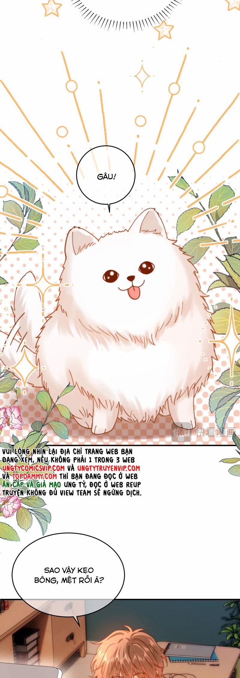 Chất Dị Ứng Đáng Yêu 55 trang 22