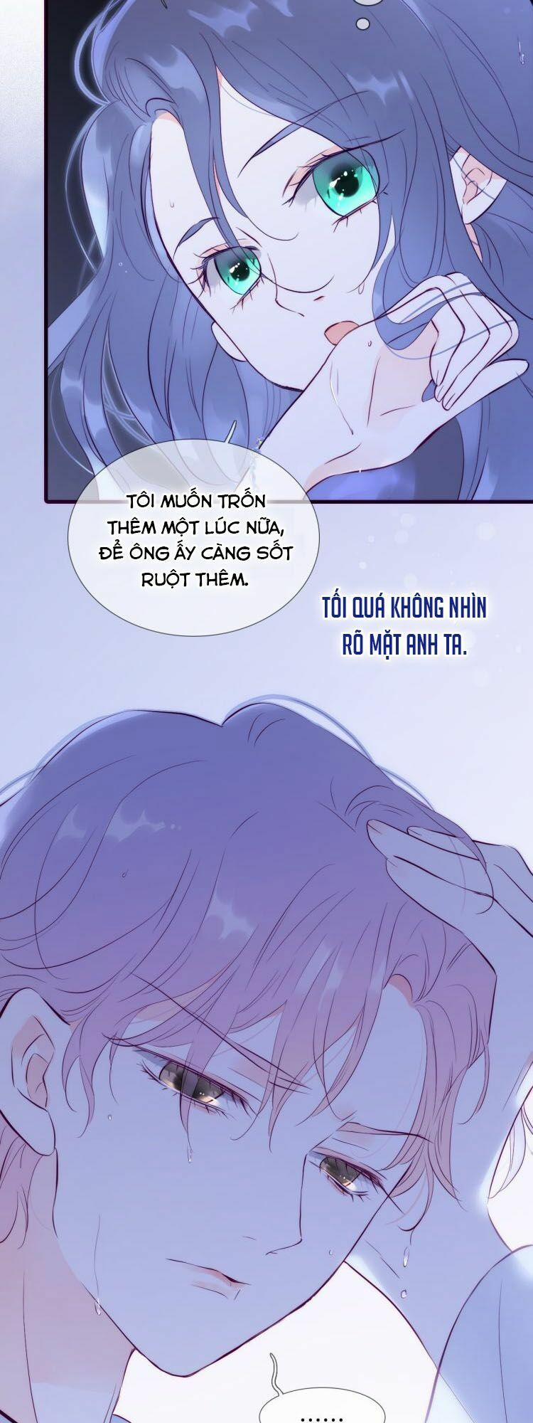 Chạy Trốn Cùng Con Nhím 1 trang 13