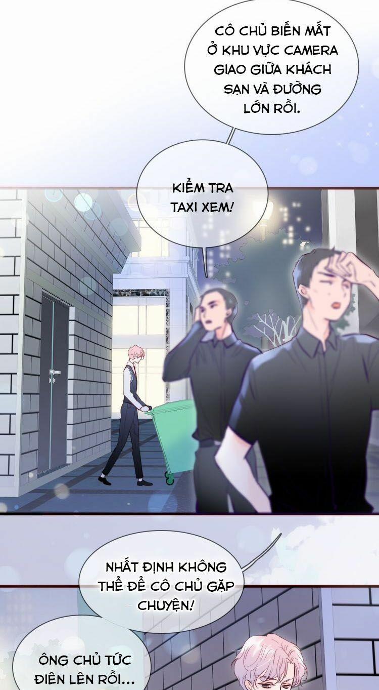 Chạy Trốn Cùng Con Nhím 1 trang 19