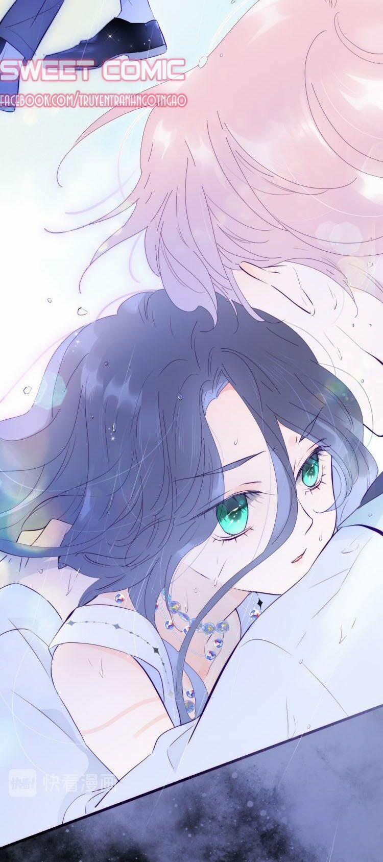 Chạy Trốn Cùng Con Nhím 1 trang 5