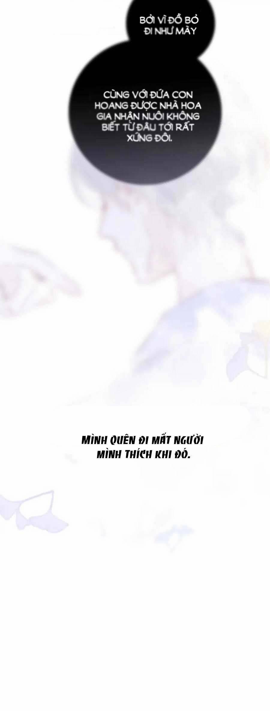 Chạy Trốn Cùng Con Nhím 100 trang 40