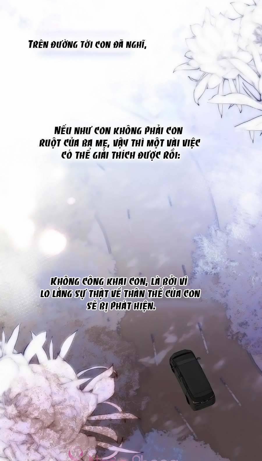 Chạy Trốn Cùng Con Nhím 101 trang 1