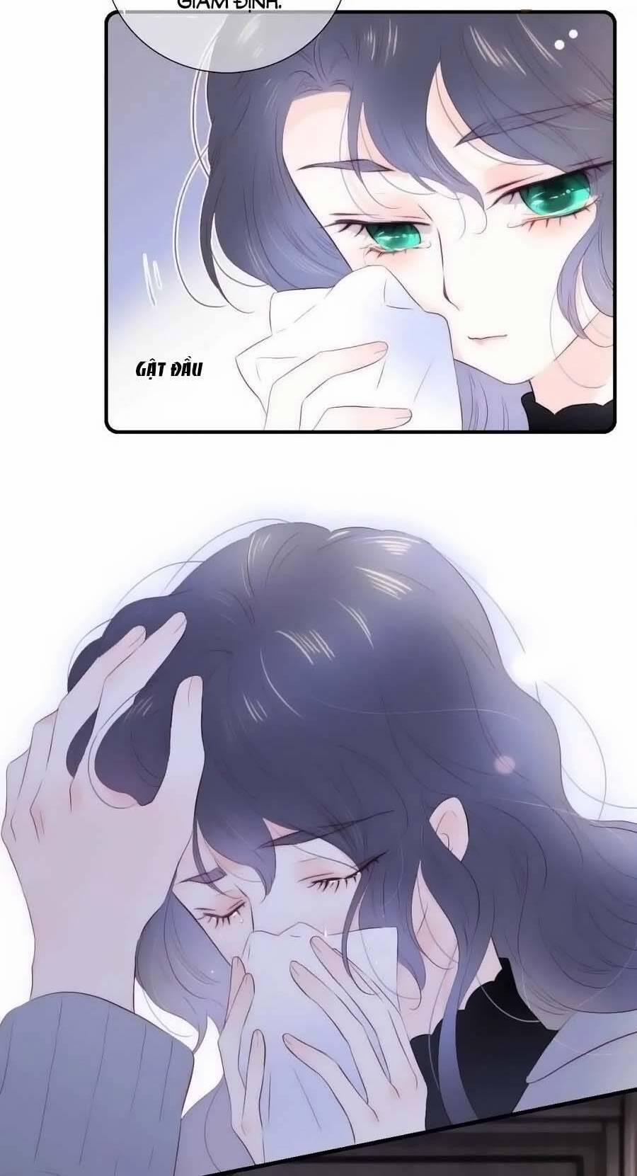 Chạy Trốn Cùng Con Nhím 101 trang 13