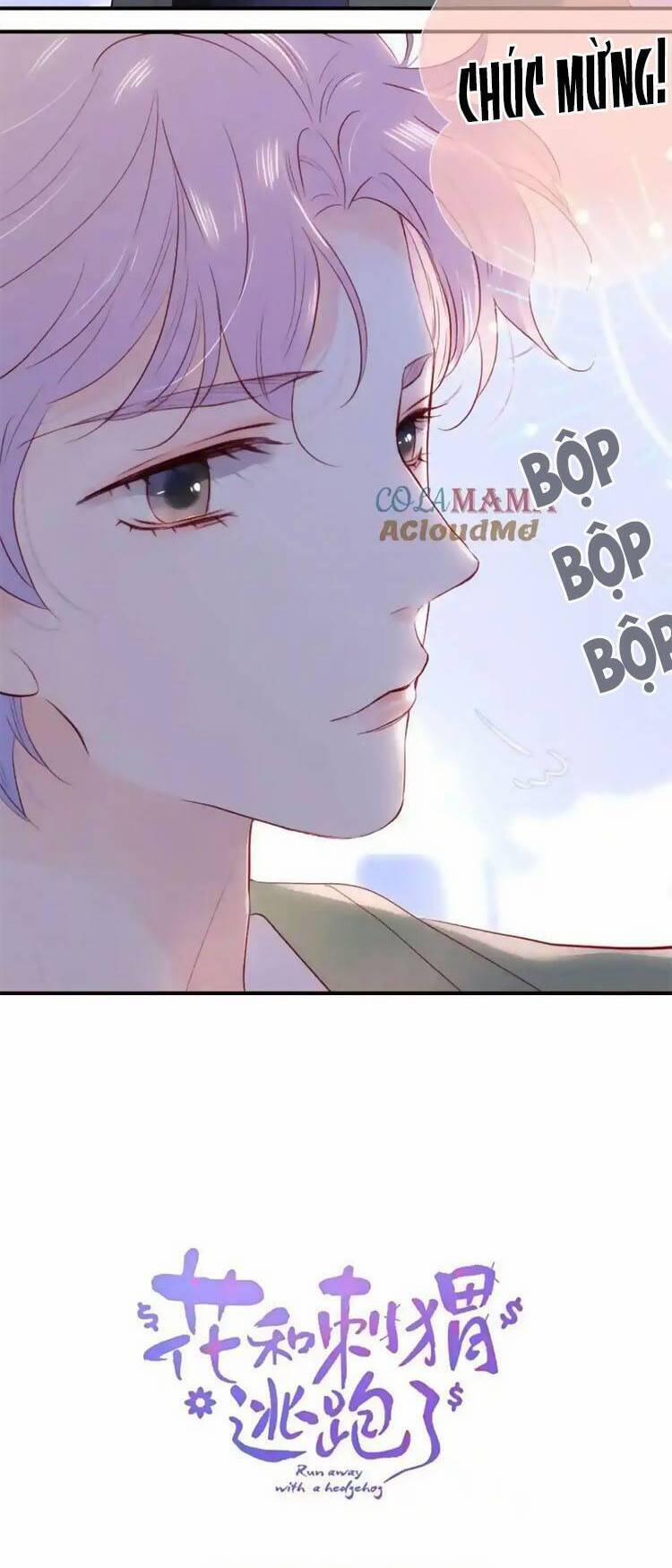 Chạy Trốn Cùng Con Nhím 103.5 trang 2