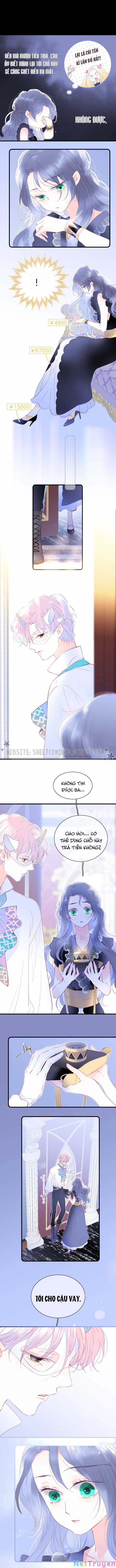 Chạy Trốn Cùng Con Nhím 11 trang 4