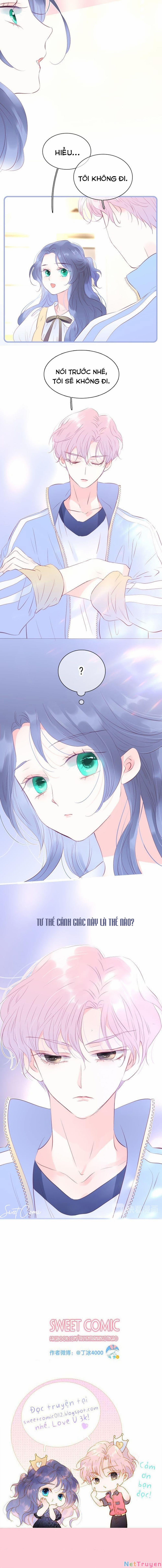 Chạy Trốn Cùng Con Nhím 14 trang 5