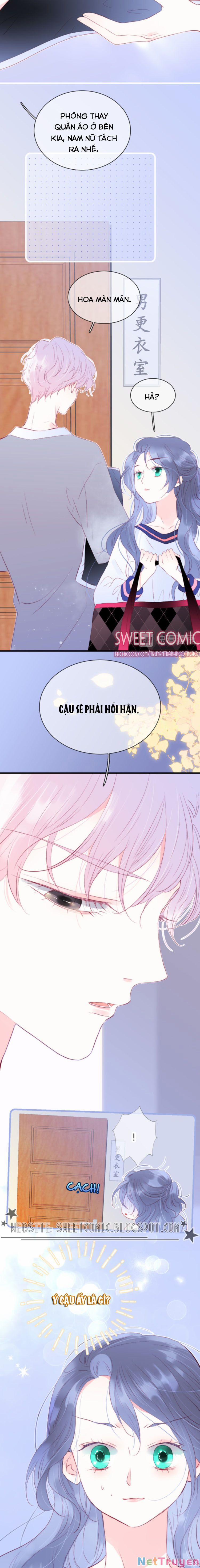 Chạy Trốn Cùng Con Nhím 15 trang 11