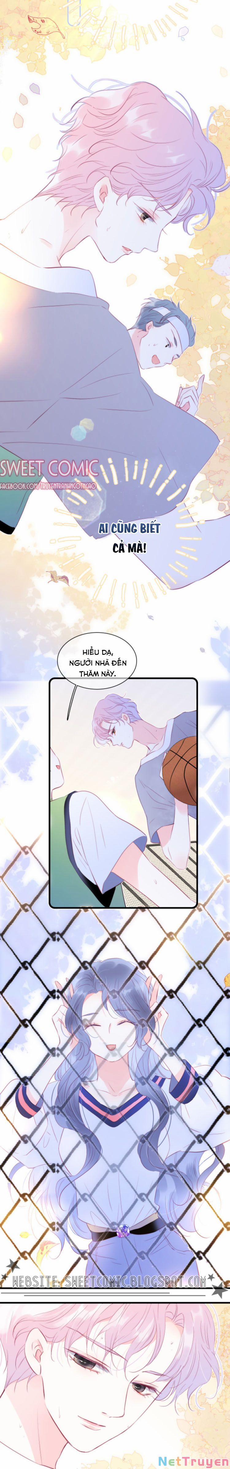 Chạy Trốn Cùng Con Nhím 15 trang 7