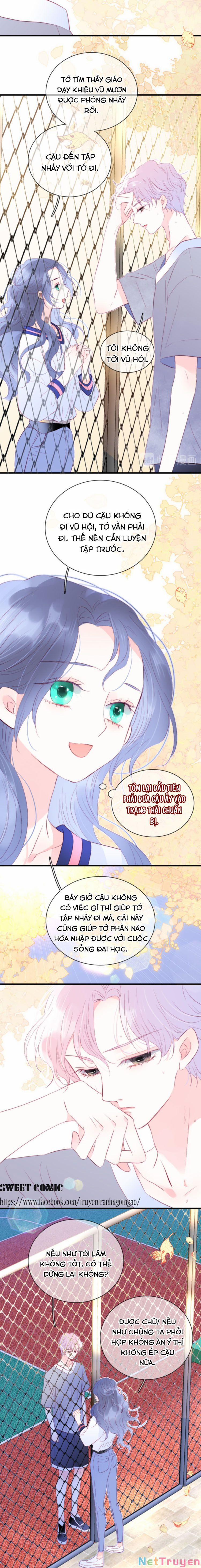 Chạy Trốn Cùng Con Nhím 15 trang 8