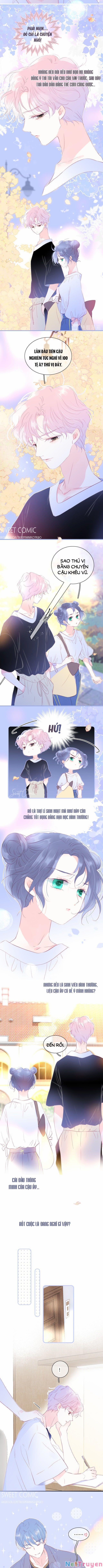 Chạy Trốn Cùng Con Nhím 18 trang 2