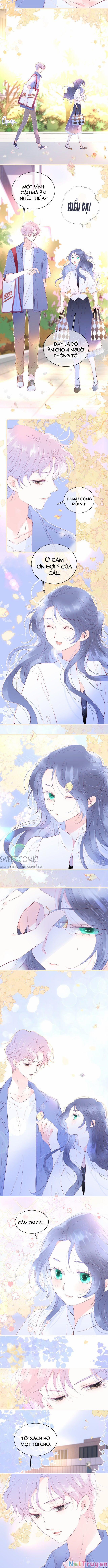 Chạy Trốn Cùng Con Nhím 18 trang 5