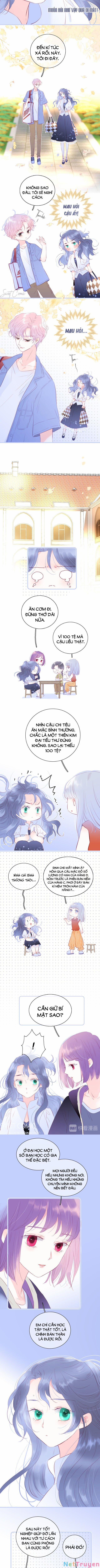 Chạy Trốn Cùng Con Nhím 19 trang 1