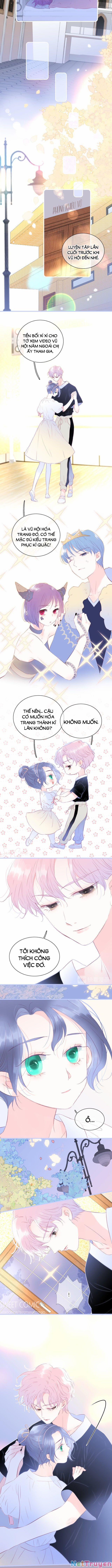 Chạy Trốn Cùng Con Nhím 19 trang 3