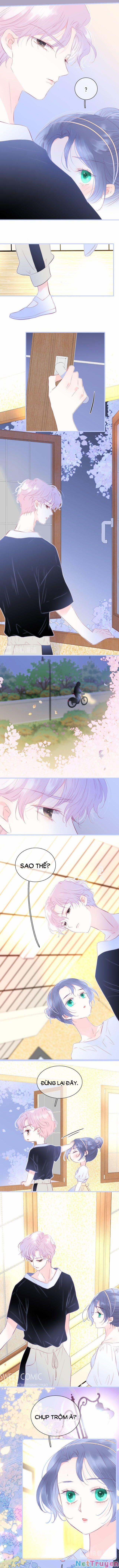 Chạy Trốn Cùng Con Nhím 19 trang 4