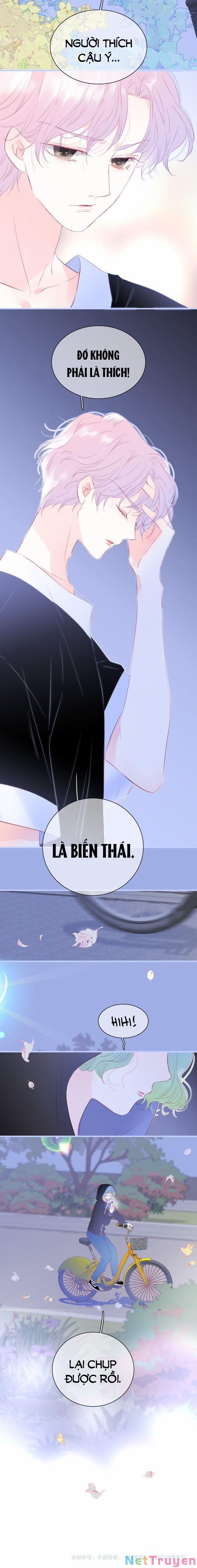 Chạy Trốn Cùng Con Nhím 19 trang 5