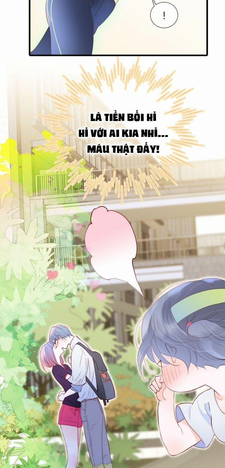 Chạy Trốn Cùng Con Nhím 2 trang 24