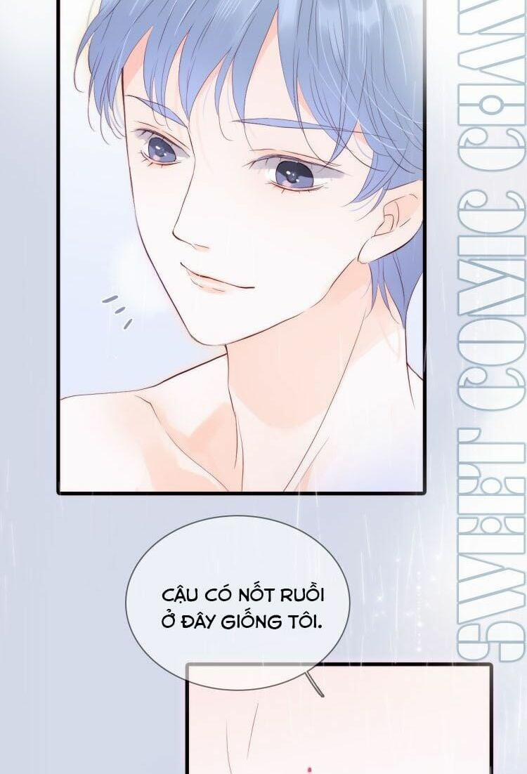 Chạy Trốn Cùng Con Nhím 2 trang 40