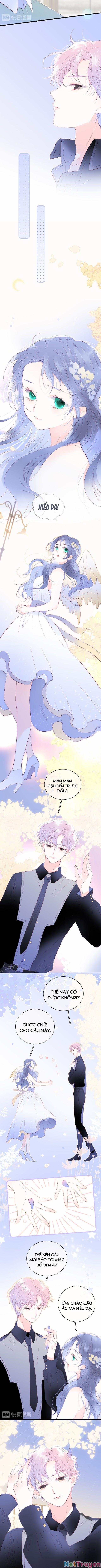 Chạy Trốn Cùng Con Nhím 20 trang 4