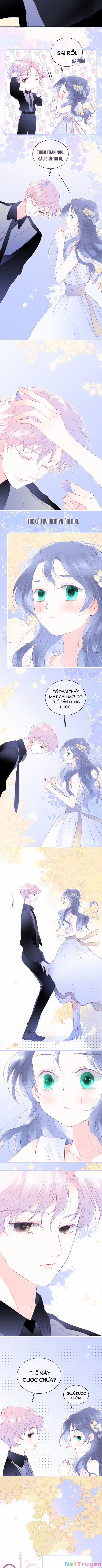 Chạy Trốn Cùng Con Nhím 20 trang 5