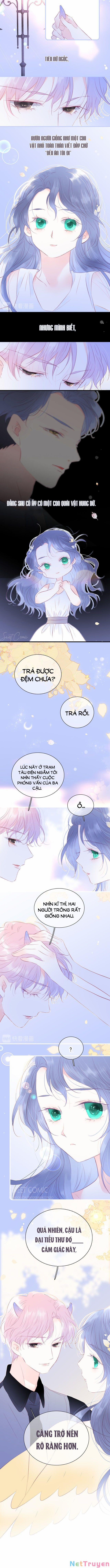 Chạy Trốn Cùng Con Nhím 20 trang 6