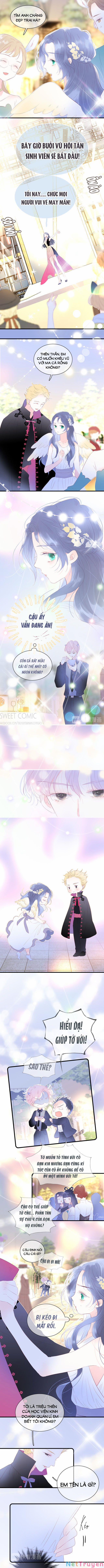 Chạy Trốn Cùng Con Nhím 21 trang 2