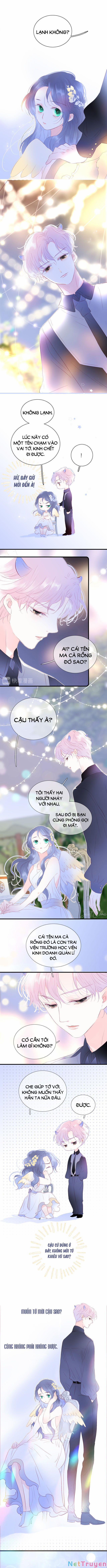 Chạy Trốn Cùng Con Nhím 21 trang 4