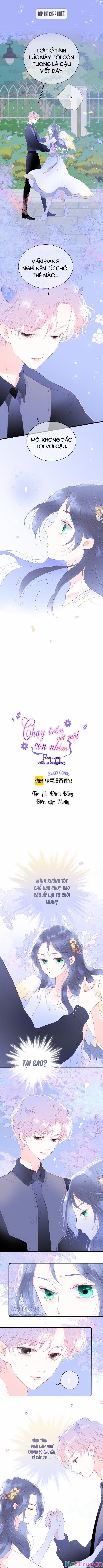 Chạy Trốn Cùng Con Nhím 23 trang 0