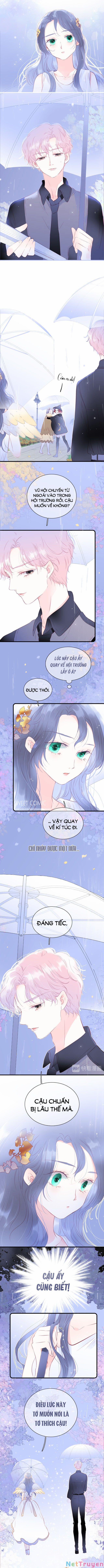 Chạy Trốn Cùng Con Nhím 23 trang 4