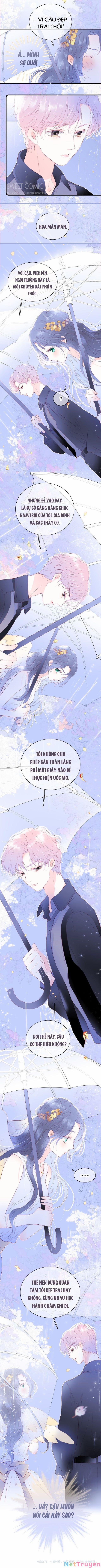 Chạy Trốn Cùng Con Nhím 23 trang 5