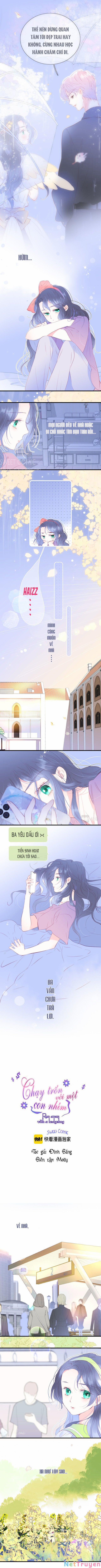 Chạy Trốn Cùng Con Nhím 24 trang 0