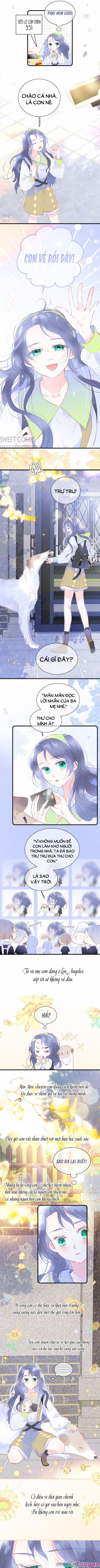 Chạy Trốn Cùng Con Nhím 24 trang 1