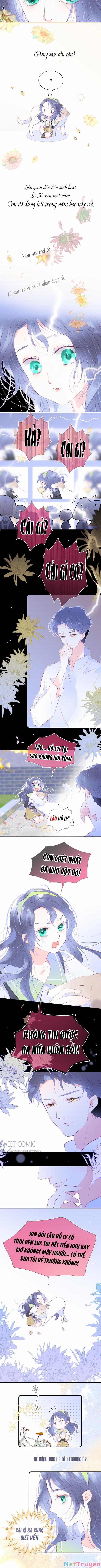 Chạy Trốn Cùng Con Nhím 24 trang 2