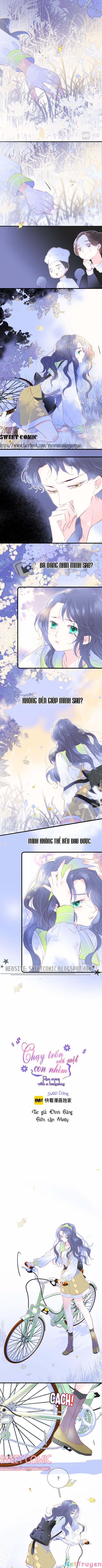 Chạy Trốn Cùng Con Nhím 25 trang 0