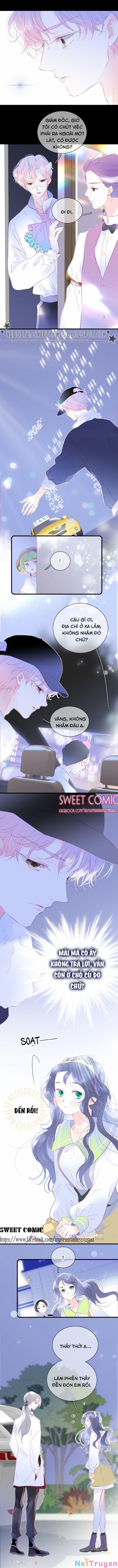 Chạy Trốn Cùng Con Nhím 25 trang 4