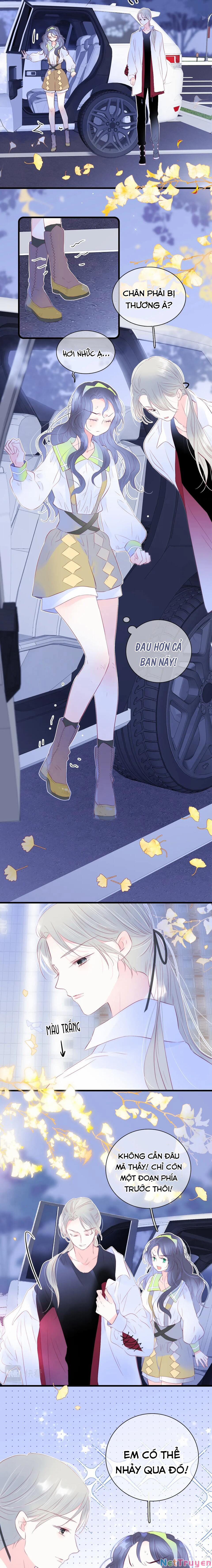 Chạy Trốn Cùng Con Nhím 26 trang 5