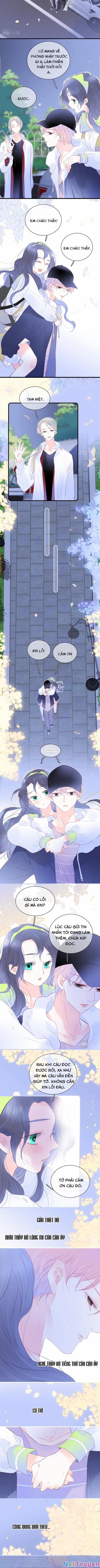 Chạy Trốn Cùng Con Nhím 28 trang 1