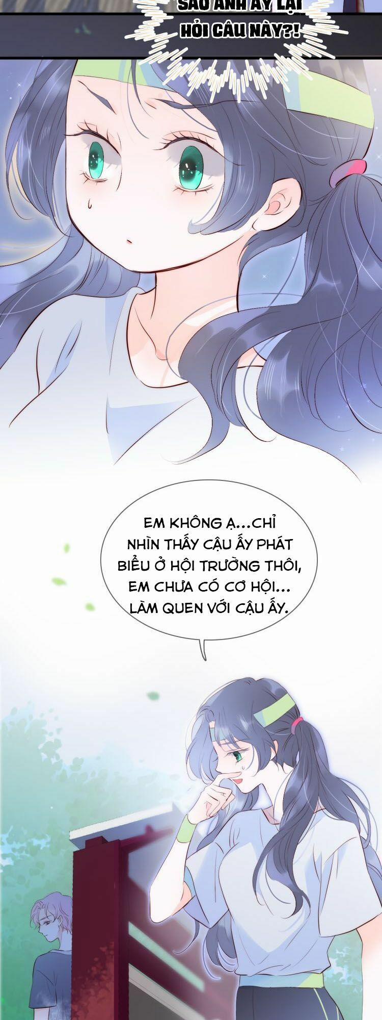 Chạy Trốn Cùng Con Nhím 3 trang 12