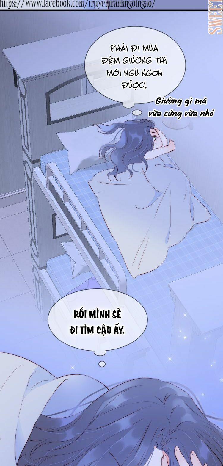 Chạy Trốn Cùng Con Nhím 3 trang 24