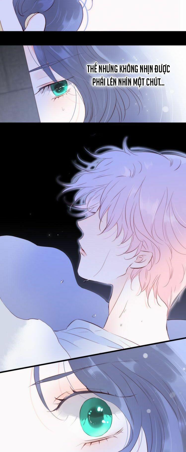 Chạy Trốn Cùng Con Nhím 3 trang 49