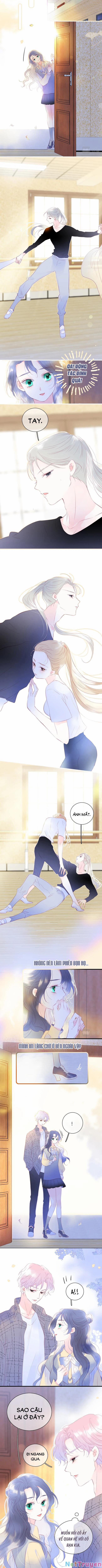 Chạy Trốn Cùng Con Nhím 30 trang 3