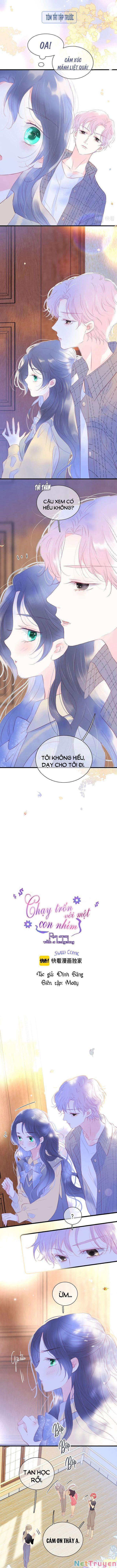 Chạy Trốn Cùng Con Nhím 31 trang 0