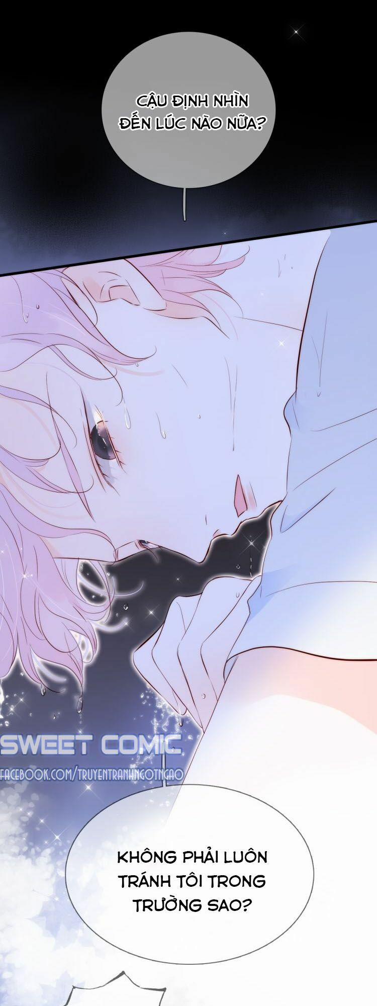 Chạy Trốn Cùng Con Nhím 4 trang 1